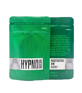 Hazenberg Am > Hypno Seeds | Semillas autoflorecientes  |  Sativa