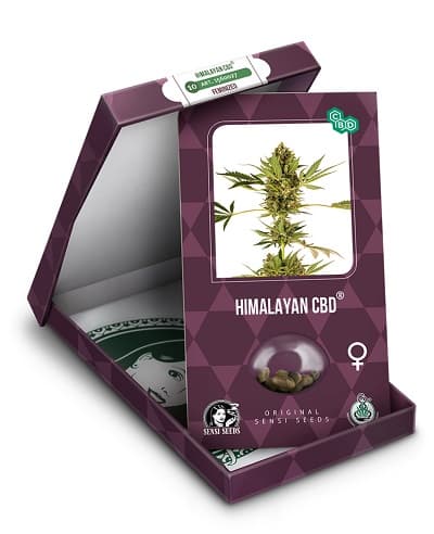 Himalayan CBD > Sensi Seeds | CBD Hanfsamen  |  Hybrid