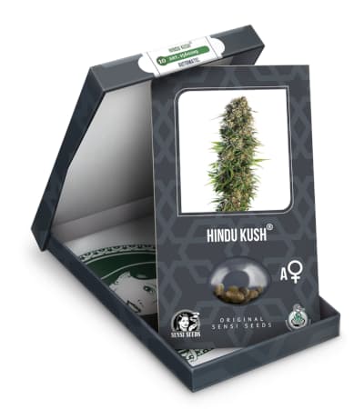 Hindu Kush Automatic > Sensi Seeds | Autoflowering Cannabis   |  Indica