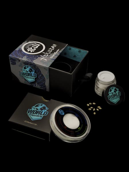 Hokuzan Seed > World Breeders | Feminized Cannabis   |  Sativa