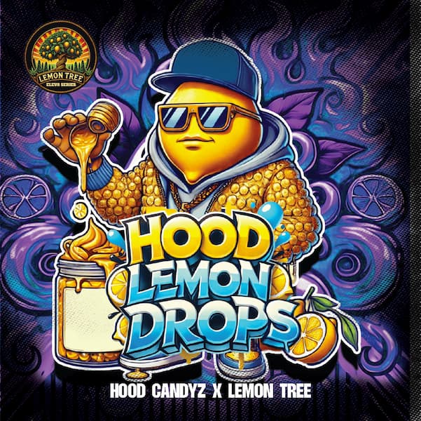 Hood Lemon Drops Seed > Elev8 Seeds | Feminized Cannabis   |  Indica
