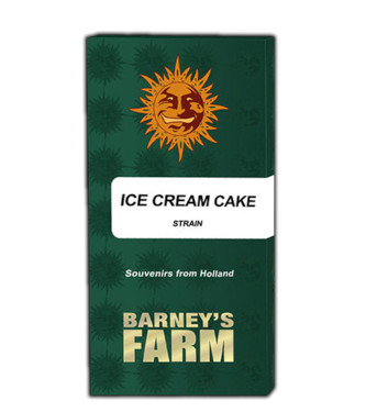 Ice Cream Cake > Barneys Farm | Feminized Marijuana   |  Indica