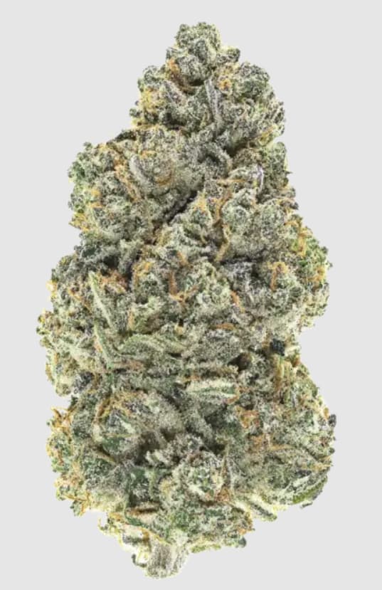Iced Lemon Watermelon graines > Anesia Seeds | Graines Féminisées  |  Indica