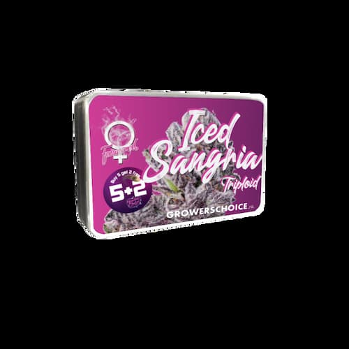 Iced Sangria (Triploid F1) Seed > Growers Choice | Feminized Cannabis   |  Hybrid