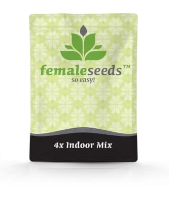 Indoor Mix > Female Seeds | Feminisierte Hanfsamen  |  Hybrid