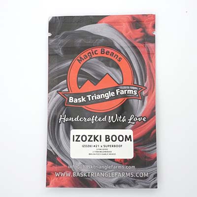 Izozki Boom Seed > Bask Triangle Farms | Feminized Cannabis   |  Indica