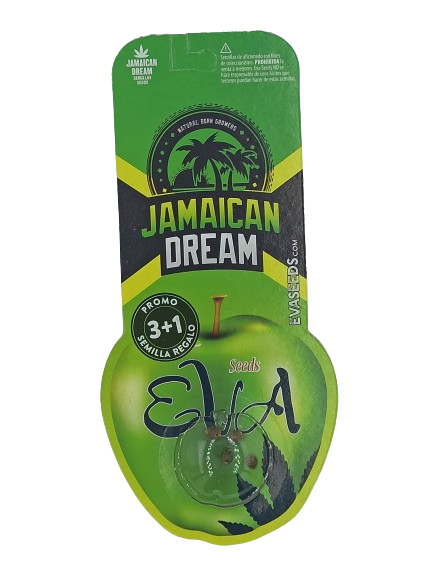 Jamaican Dream > Eva Female Seeds | NOS RECOMMANDATIONS DE GRAINES DE CANNABIS  |  TOP 10 variété sativa