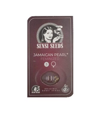Jamaican Pearl > Sensi Seeds | Feminisierte Hanfsamen  |  Sativa