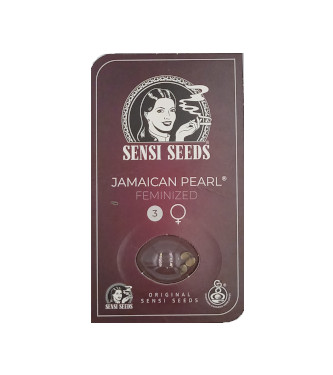 Jamaican Pearl > Sensi Seeds | Semillas feminizadas  |  Sativa