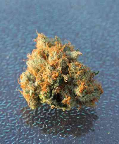 Jesus OG > TGA Subcool Seeds | Regular Marijuana   |  Indica