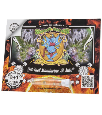 Jet Fuel Manderine XL Auto > Sweet Seeds | Autoflowering Cannabis   |  Sativa
