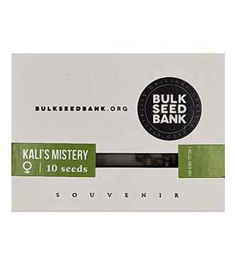 Kali\'s Mistery > Bulk Seed Bank | Graines Féminisées  |  Sativa