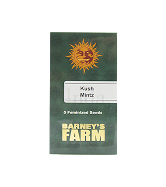 Kush Mintz > Barneys Farm | Feminized Marijuana   |  Indica