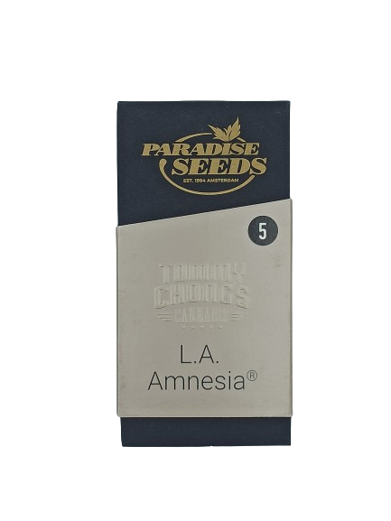 L.A. Amnesia > Paradise Seeds | Semillas feminizadas  |  Sativa