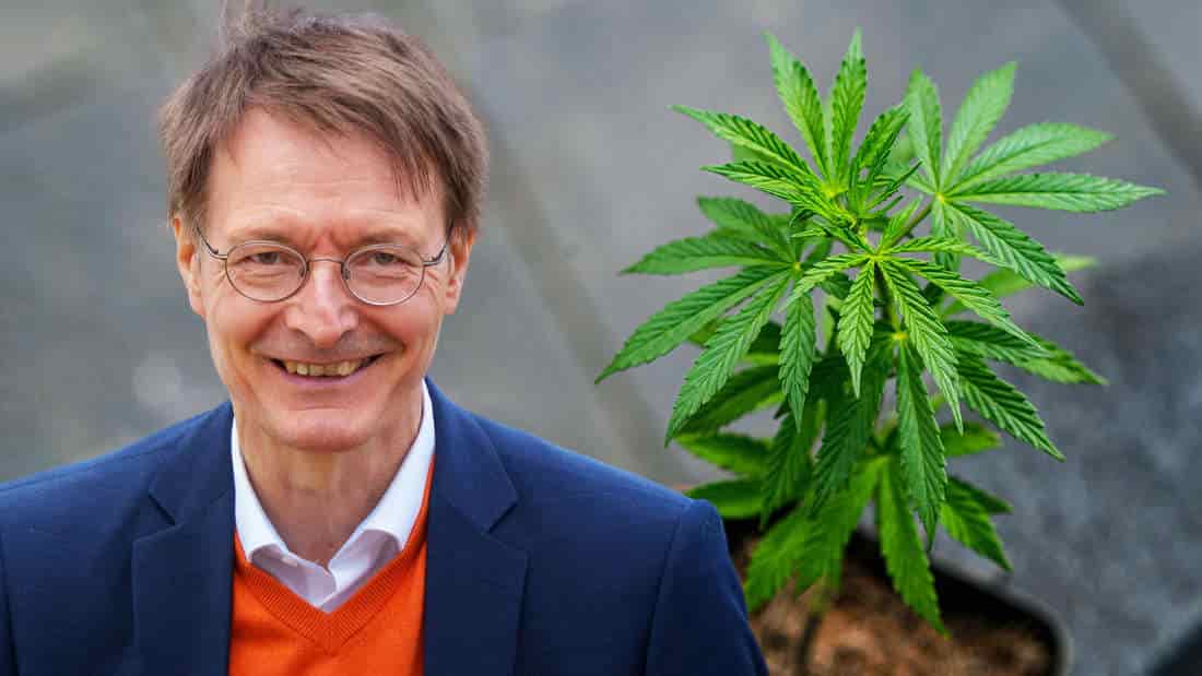 Karl Lauterbauch und Cannabis