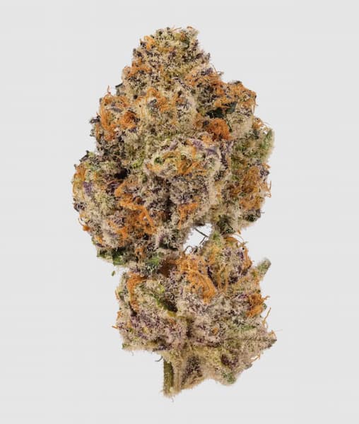 Lemon Cherry Mochi Auto semilla > Growers Choice | Semillas de marihuana autoflorecientes  |  Índica