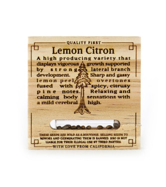 Lemon Citron > Humboldt Seed Organisation | Feminized Marijuana   |  Indica