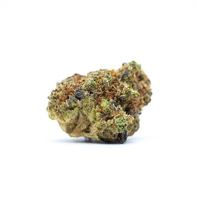 Lemon OG Candy Auto > Philosopher Seeds | Semillas de marihuana autoflorecientes  |  Sativa