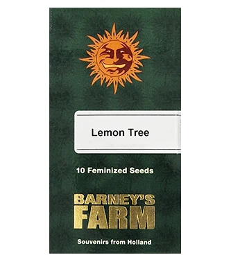 Lemon Tree > Barneys Farm | Semillas feminizadas  |  Híbrido