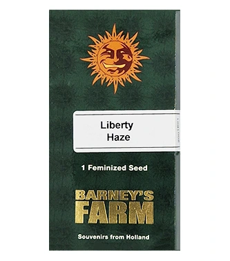Liberty Haze > Barney`s Farm | Feminisierte Hanfsamen  |  Hybrid