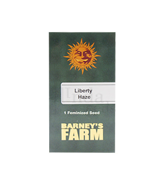 Liberty Haze > Barney`s Farm | Graines Féminisées  |  Hybride
