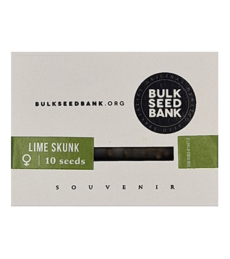 Lime Skunk > Bulk Seed Bank | Feminisierte Hanfsamen  |  Sativa