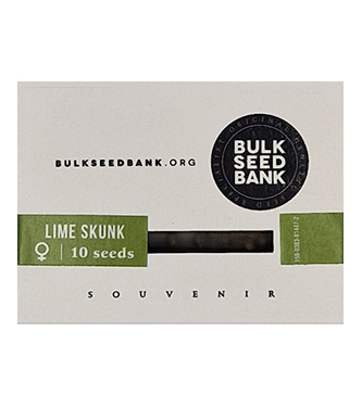 Lime Skunk > Bulk Seed Bank | Semillas feminizadas  |  Sativa