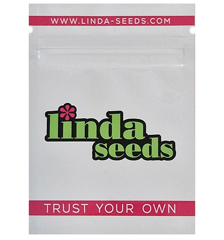 Watermelon Girl > Linda Seeds | Feminisierte Hanfsamen  |  Indica