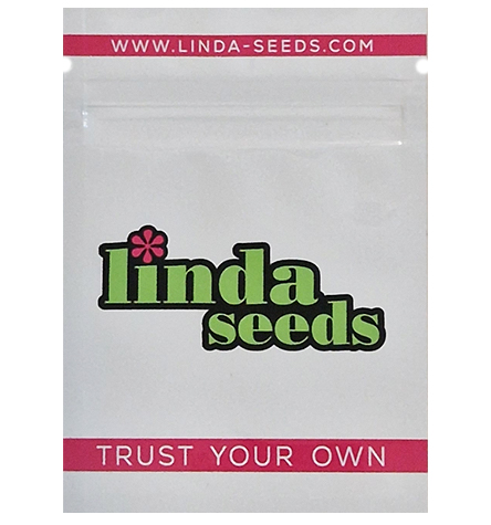 Gorilla Glue #4 > Linda Seeds | Cannabis seeds recommendations  |  Cheap Cannabis