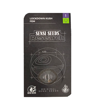 Lockdown Kush > Sensi Seeds | Feminized Marijuana   |  Sativa