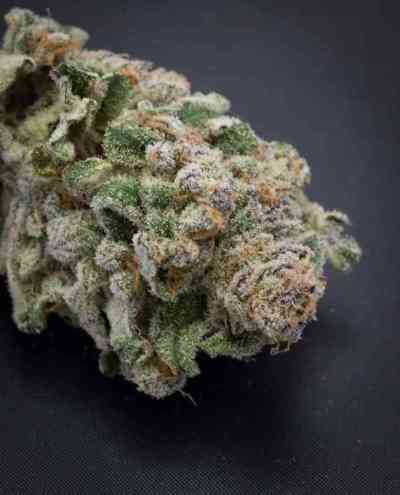 Locomotion > TGA Subcool Seeds | Regular Marijuana   |  Indica