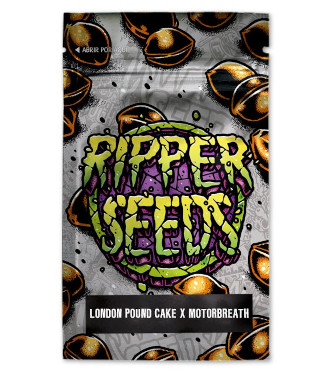 London Pound Cake x Motorbreath > Ripper Seeds | Feminized Marijuana   |  Indica