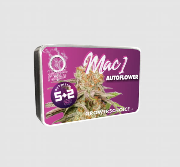 Mac 1 Auto Samen > Growers Choice | Autoflowering Hanfsamen  |  Hybrid