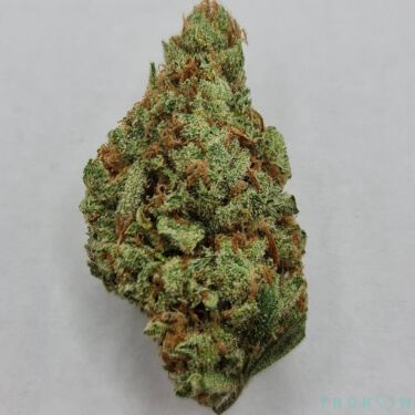 MAC Mango > KC Brains | Feminized Marijuana   |  Indica