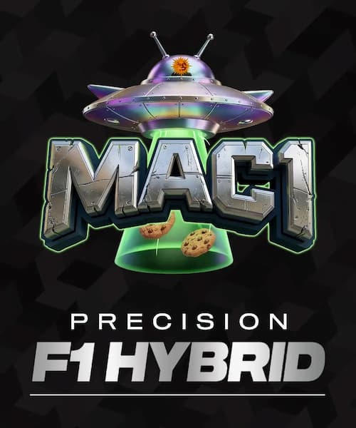 MAC 1 Seed > Barney’s Farm | Feminized Cannabis   |  Hybrid