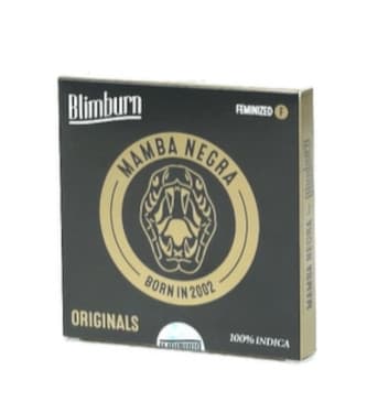 Mamba Negra > Blim Burn Seeds | Semillas feminizadas  |  Índica