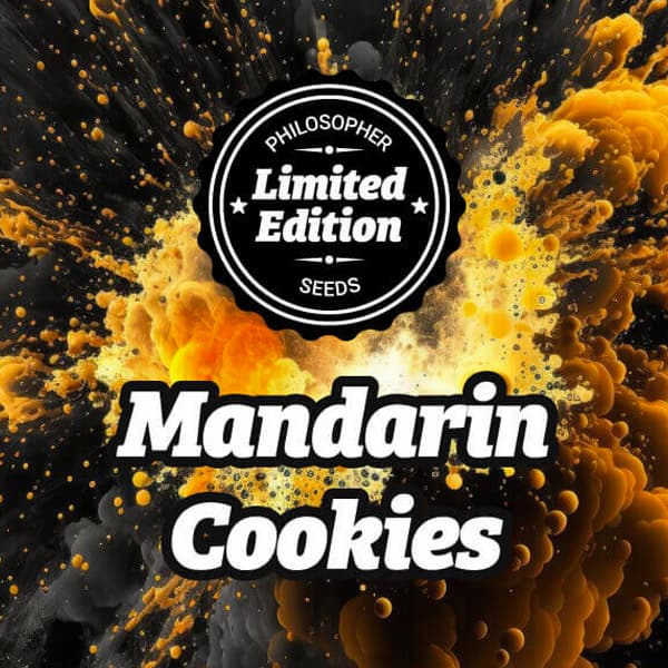 Mandarin Cookies graines > Philosopher Seeds | Graines Féminisées  |  Hybride
