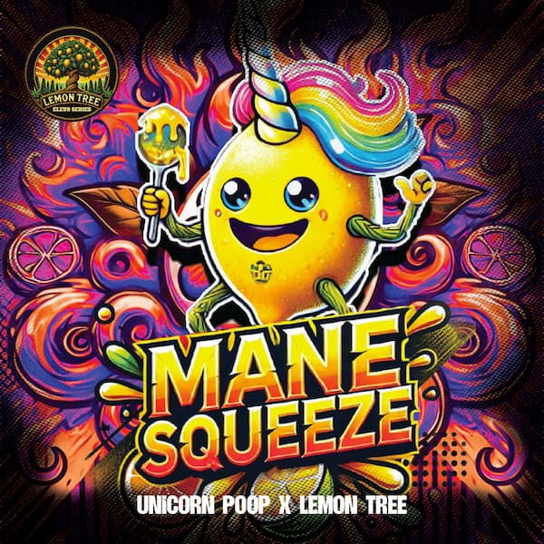 Mane Squeeze graines > Elev8 Seeds | Graines Féminisées  |  Indica