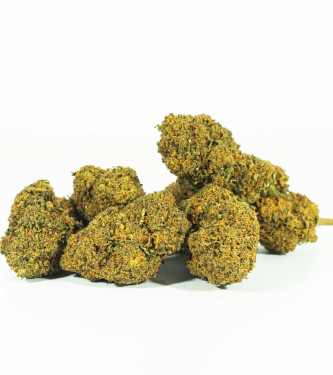 Mango Kush Only CBD Fans > hierba CBD | Productos de CBD