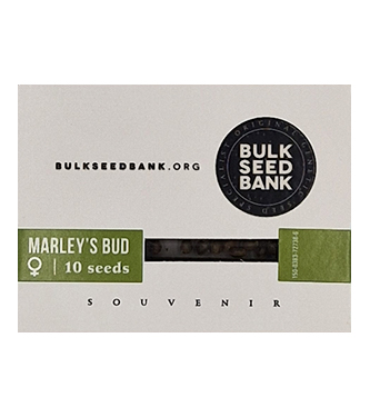 Marley\'s Bud > Bulk Seed Bank | Graines Féminisées  |  Indica