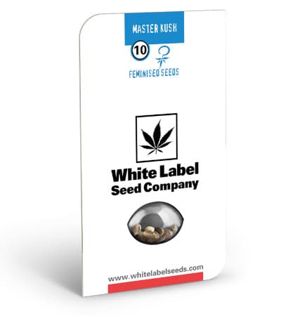 Master Kush > White Label Seeds | Feminized Marijuana   |  Indica