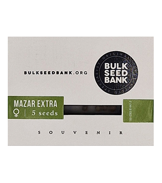 Mazar Extra > Bulk Seed Bank | Semillas feminizadas  |  Índica