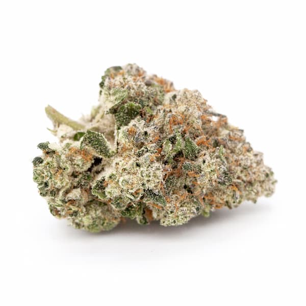 Medical Donuts > Medical Seeds | Feminized Cannabis   |  Hybrid