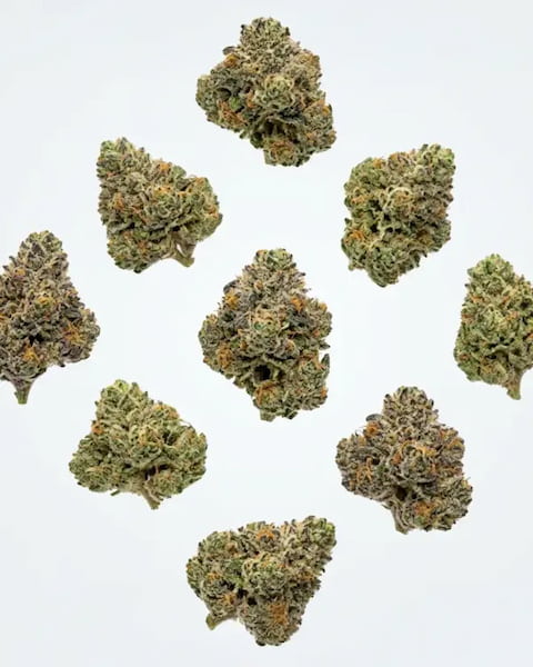 Mega Pop Corn > Xuxes | Flores de CBD