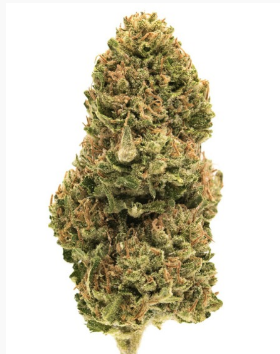 Mendo Crème > Paradise seeds | Feminized Cannabis   |  Hybrid