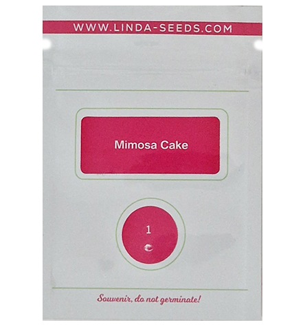 Mimosa Cake > Linda Seeds | Graines Féminisées  |  Hybride