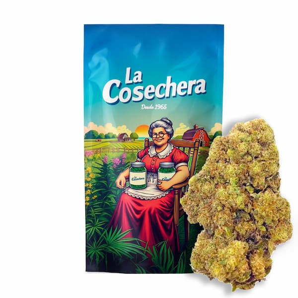 Mimosa CBD > La Cosechera | CBD Blüten