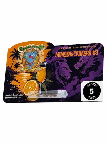 Mimosa x Chimera #3 Samen > Sweet Seeds | Feminisierte Hanfsamen  |  Sativa