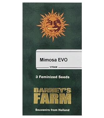 Mimosa Evo > Barneys farm | Semillas feminizadas  |  Híbrido