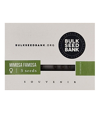 Mimosa Famosa > Bulk Seed Bank | Semillas feminizadas  |  Sativa